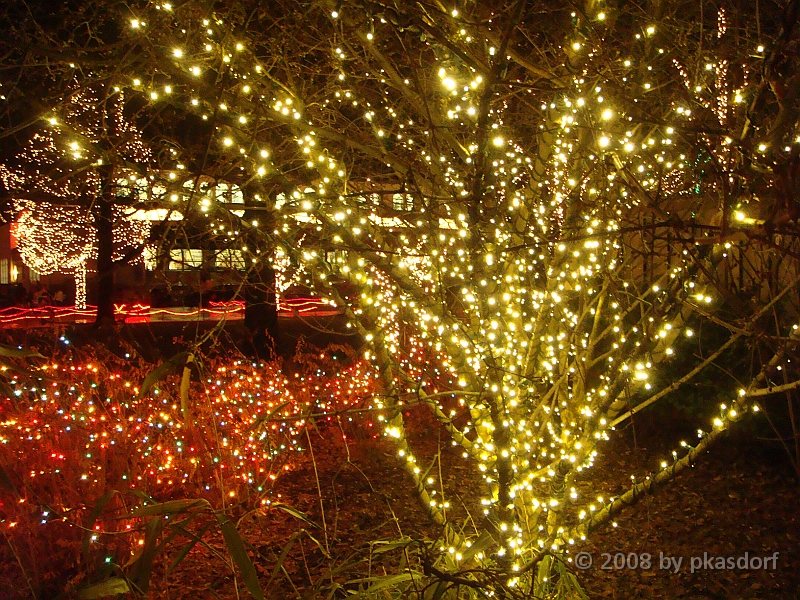 044 Toledo Zoo Light Show [2008 Dec 27].JPG - Scenes from the Toledo Zoo Light Show.